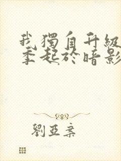 我独自升级第二季起于暗影观看