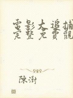 电影大追捕在线完整免费观看国语