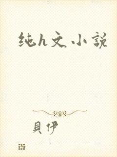 纯h文小说