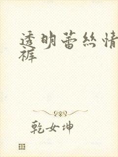 透明蕾丝情趣内裤