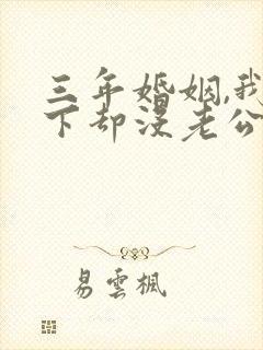 三年婚姻,我名下却没老公短剧全集在线观看