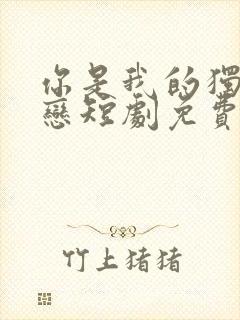 你是我的独家爱恋短剧免费观看