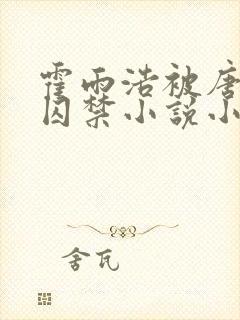 霍雨浩被唐舞麟囚禁小说小说封面