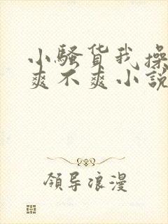 小骚货我操的你爽不爽小说