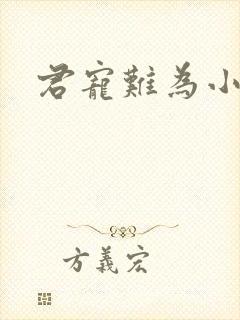 君宠难为小说封面