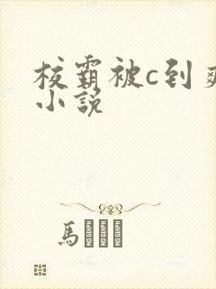 校霸被c到爽流小说