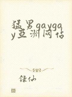 猛男gaygay亚洲网站