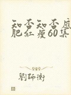 知否知否应是绿肥红瘦60集