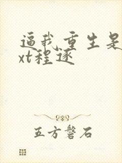 逼我重生是吧txt程逐