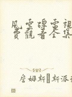 风云碑电视剧免费观看全集