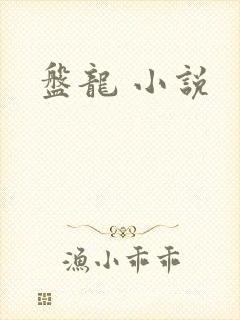 盘龙 小说