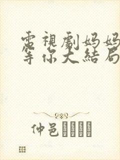 电视剧妈妈在家等你大结局封面