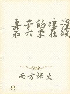 妻子的浪漫旅行第六季在线观看