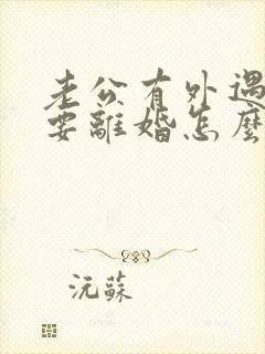 老公有外遇坚决要离婚怎么办封面