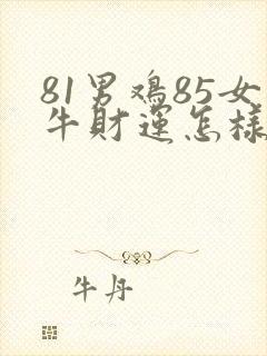 81男鸡85女牛财运怎样