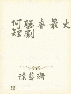 何聪睿最火十部短剧