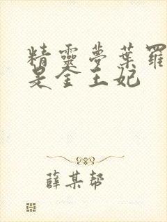 精灵梦叶罗丽谁是金王妃