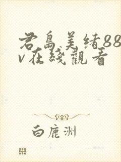 君岛美绪88av在线观看