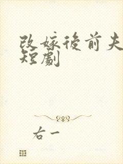 改嫁后前夫慌了短剧