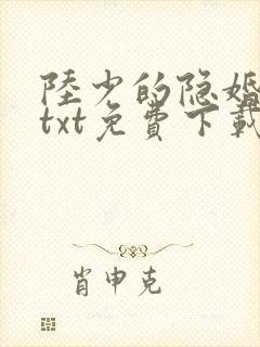 陆少的隐婚罪妻txt免费下载