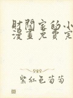 财阀家的小儿子漫画免费完整版