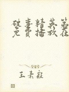 破事精英第2季免费播放在线