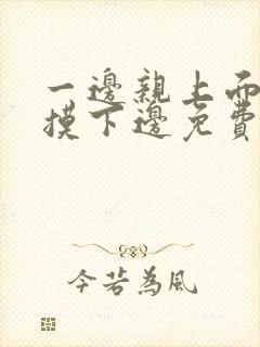 一边亲上面一边摸下边免费