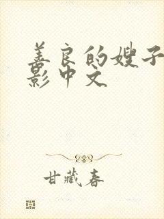 善良的嫂子3电影中文封面