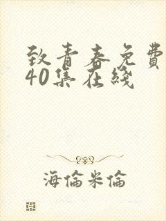 致青春免费观看40集在线