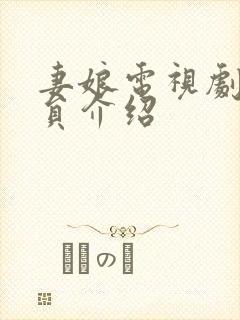 妻娘电视剧中演员介绍