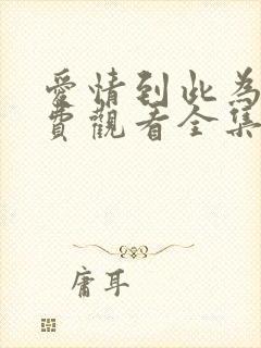 爱情到此为止免费观看全集完整版