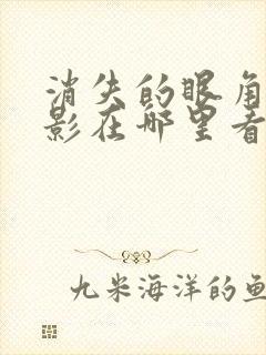 消失的眼角膜电影在哪里看