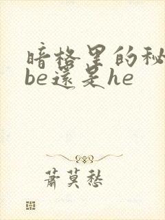 暗格里的秘密是be还是he封面