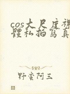 cos大尺度裸体私拍写真封面