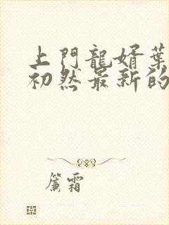 上门龙婿叶辰萧初然最新的封面