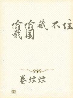 偷偷藏不住番外截图封面