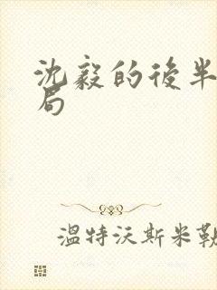 沈毅的后半生结局