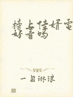 榜上佳婿电视剧好看吗