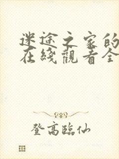 迷途之家的姐姐在线观看全集封面