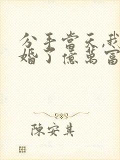 分手当天,我闪婚了亿万富豪