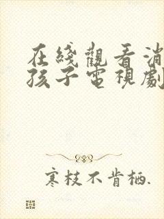 在线观看消失的孩子电视剧免费封面