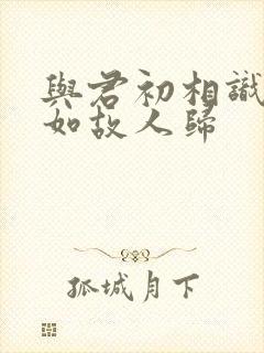 与君初相识,犹如故人归封面