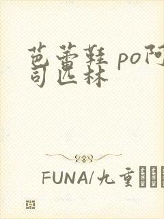 芭蕾鞋 po阿司匹林