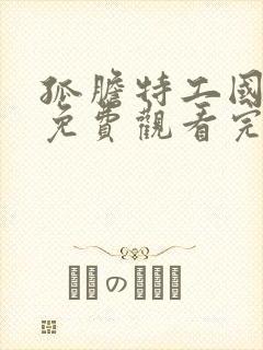 孤胆特工国语版免费观看完整封面