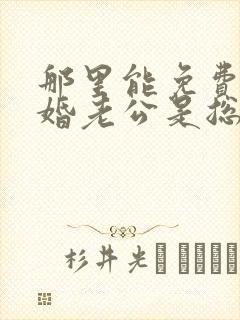 那里能免费看闪婚老公是总裁短剧