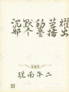 沉默的荣耀卫视哪个台播出