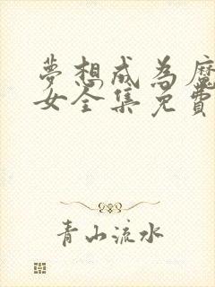 梦想成为魔法少女全集免费封面