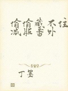 偷偷藏不住未删减版番外封面