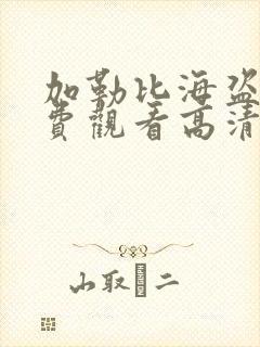 加勒比海盗3免费观看高清完整版