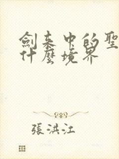 剑来中的圣人是什么境界